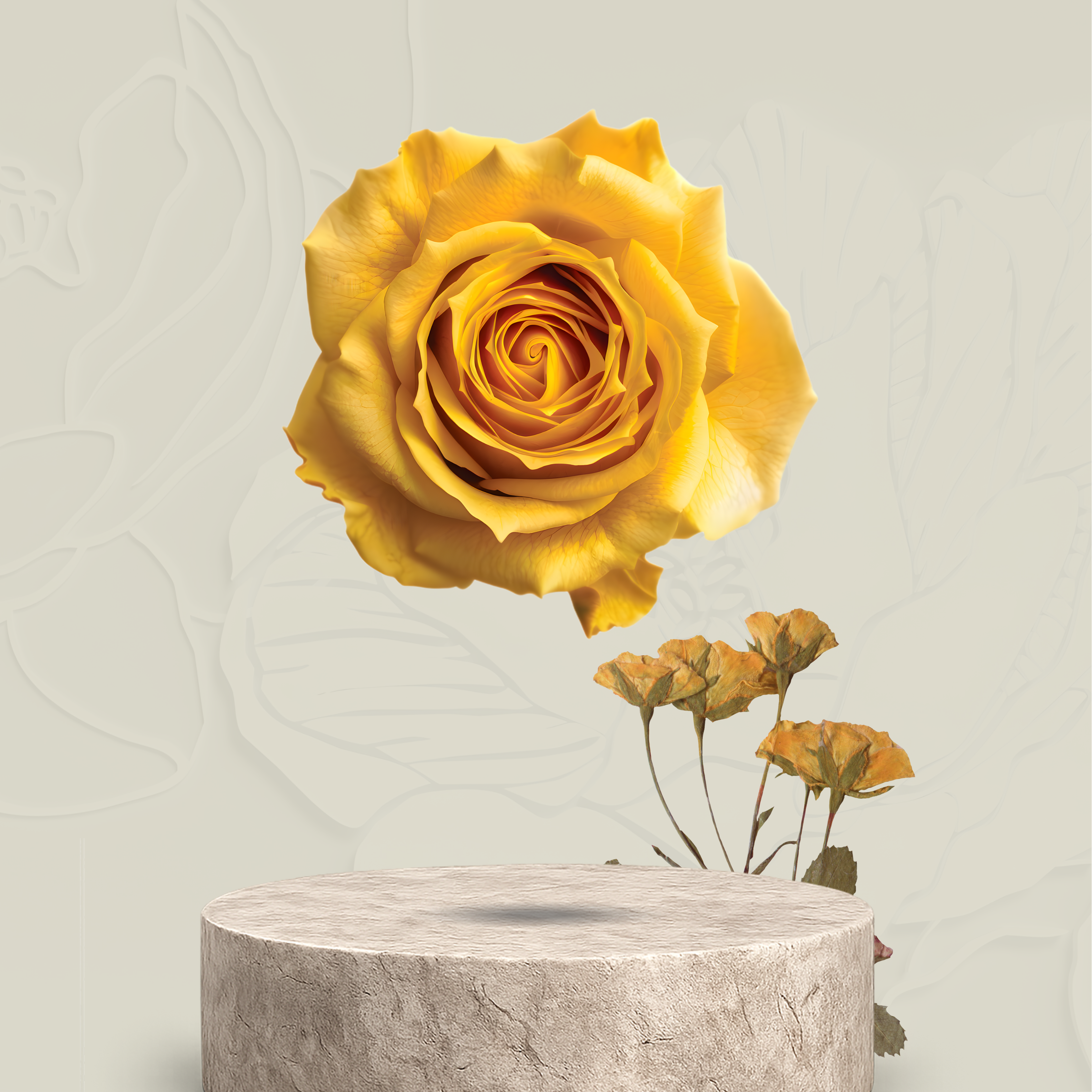 Gelato      Ember — 2g Premium Flower