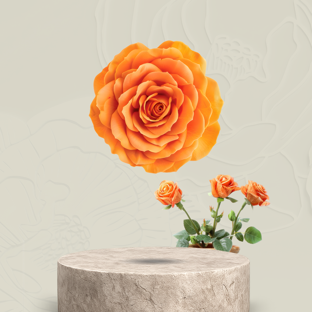 Banana Punch — 2g Premium Flower