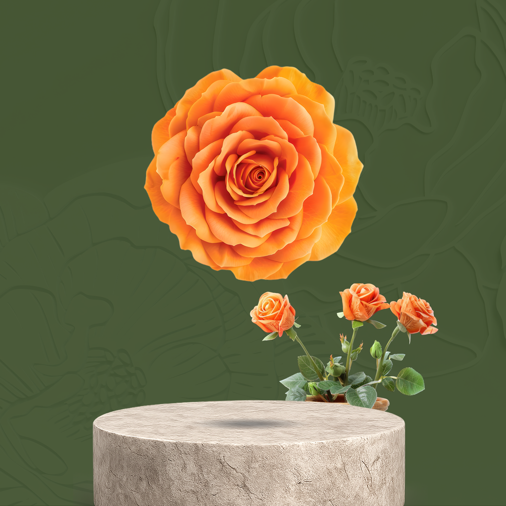 Banana Punch — 2g Premium Flower